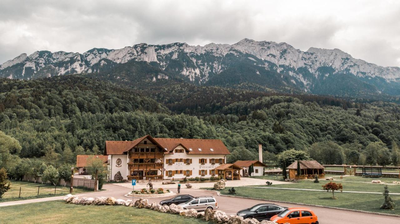 Popasul Craiului Villa Zărneşti Esterno foto