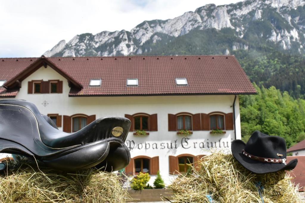 Popasul Craiului Villa Zărneşti Esterno foto