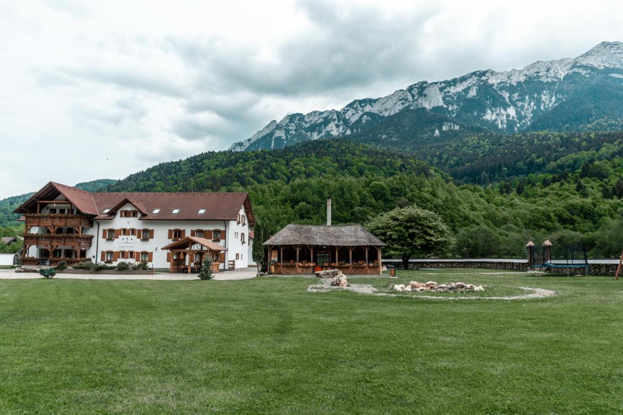 Popasul Craiului Villa Zărneşti Esterno foto