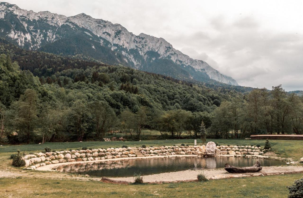 Popasul Craiului Villa Zărneşti Esterno foto