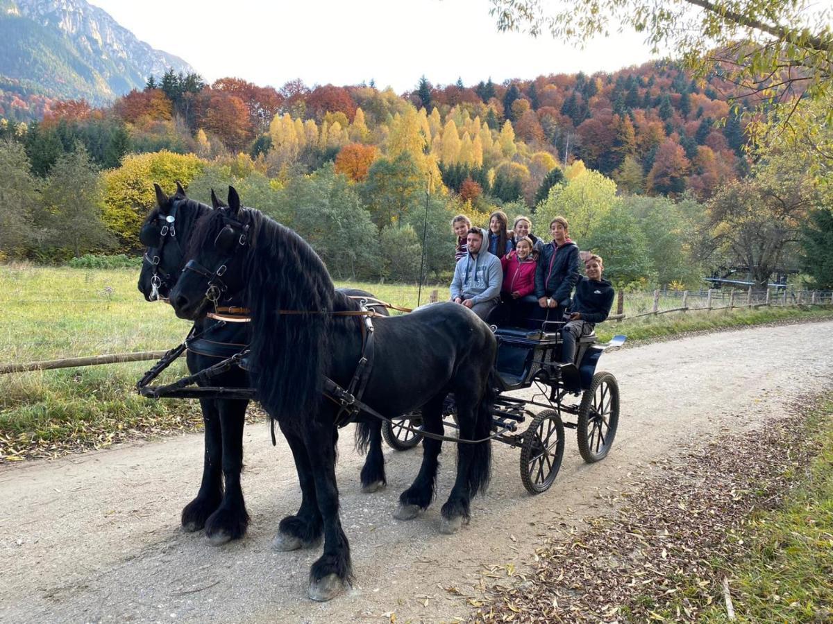 Popasul Craiului Villa Zărneşti Esterno foto