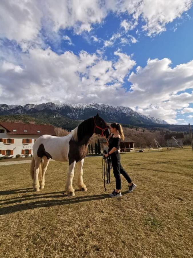 Popasul Craiului Villa Zărneşti Esterno foto